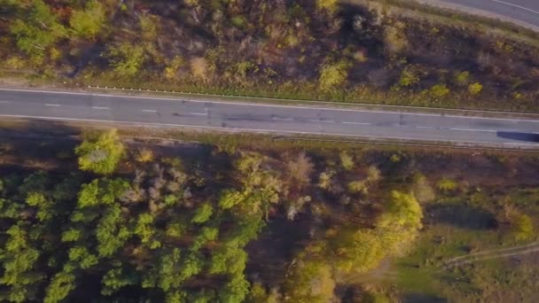 森の近くの高速道路 道路のジャンクション近くの高さから鉄道 高速道路上の車のトラフィック以上フライト — ストック動画