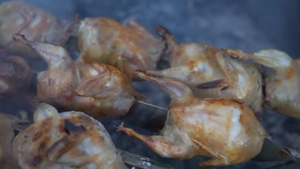 Nahaufnahme Kochen Grill Wachtelvogel Mit Spinner Auf Heißer Kohle — Stockvideo