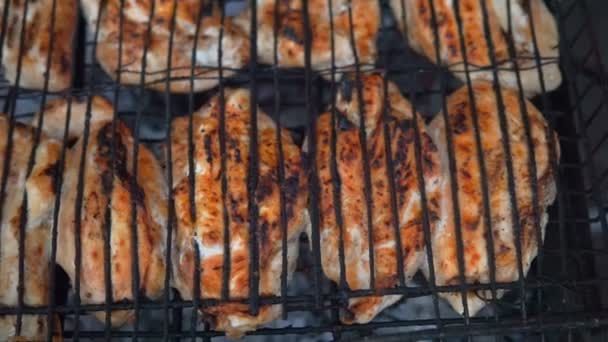 Barbecue Met Heerlijk Gegrilde Vlees Grill Barbecue Party Stukjes Kip — Stockvideo