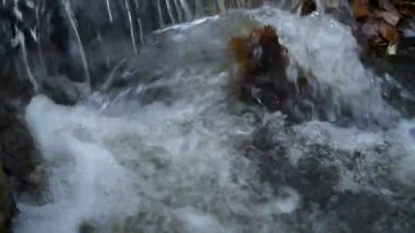 Güzel dağ whitewater nehir rapids erken güneşli sonbaharda gür yeşil ormanın içinden akan. Küçük şelaleler ve sarp dağ nehir yatağı yosunlu kayalar üzerine düşen cascades