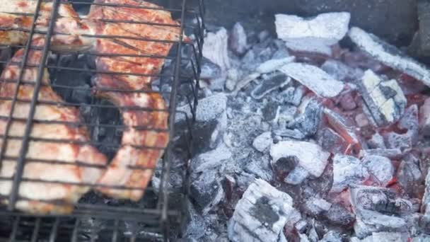 Barbecue Met Heerlijk Gegrilde Vlees Grill Barbecue Party Stukjes Kip — Stockvideo