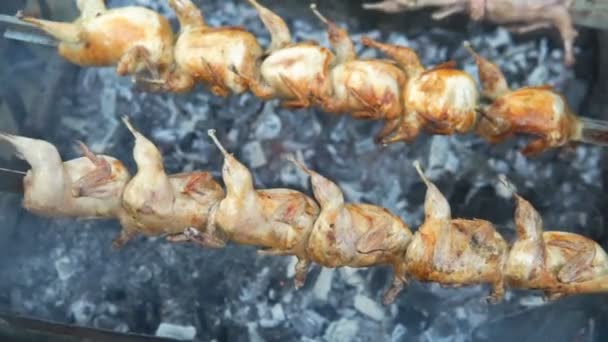 Close Cooking Barbecue Quail Bird Spinner Hot Coal — Stock Video