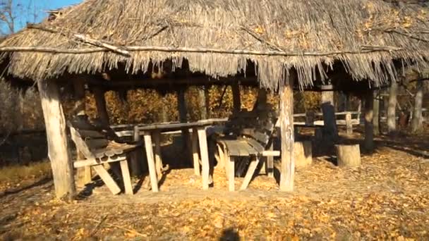 Cabaña Bosque Otoño Stedicam Cerrado — Vídeos de Stock