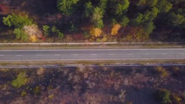 Doğa. Uçuş forest yakınındaki karayolu, yol kavşak yükseklikten demiryolu, karayolu üzerinde otomobil trafik yakınındaki.