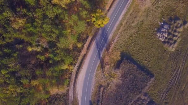 Natura Volo Sull Autostrada Vicino Alla Foresta Raccordo Stradale Vicino — Video Stock