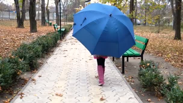 一个手里拿着黄叶的公园里 一个带着黄叶的孩子走在蓝色的伞下 — 图库视频影像