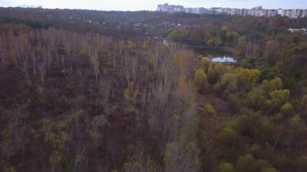 Vuelo Sobre Lago Bosque Otoño — Vídeos de Stock