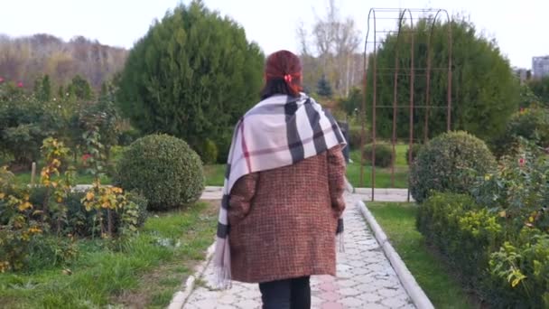 Una Donna Cammina Attraverso Parco Tra Gli Alberi Ricoperti Giallo — Video Stock