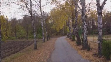 Kamera taşımak Ağaçlar Sonbahar Park çevrili kaldırımda