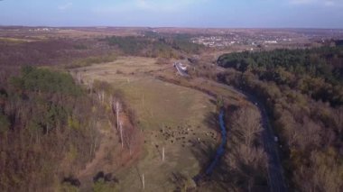 Doğa. Uçuş forest yakınındaki karayolu, yol kavşak yükseklikten demiryolu, karayolu üzerinde otomobil trafik yakınındaki.