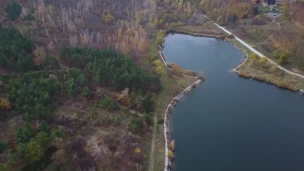 Політ Над Озером Лісом Восени — стокове відео