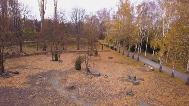 Voo Sobre Parque Outono Cidade Kishinev Moldávia — Vídeo de Stock