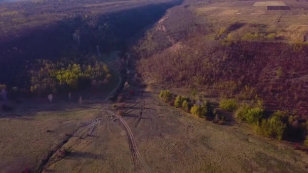 Sonbahar Alan Orman Hava Görünümünü Sonbahar Gündoğumu Kuru Çim Üzerinde — Stok video
