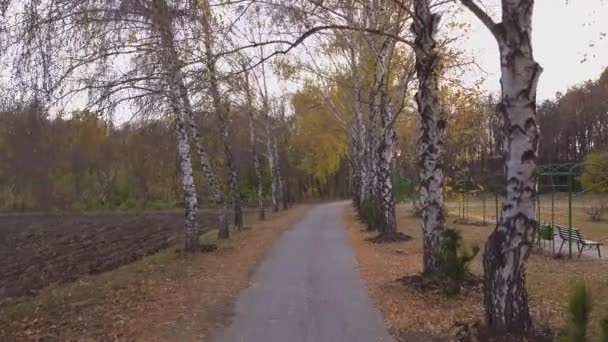 Fotoaparát Přesunout Chodníku Obklopen Stromy Podzim Park — Stock video