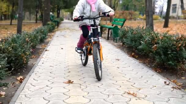 一位高加索儿童在秋季公园骑自行车道 在公园里骑黑色橙色自行车的小女孩 孩子去做自行车运动 — 图库视频影像