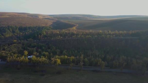 Vista Aérea Estrada Através Floresta Outono — Vídeo de Stock