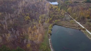 göl ve orman üzerinde sonbahar uçuş