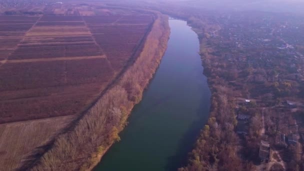 Κηφήνας Αργή Πτήση Μπλε Ποταμό Και Γεωργικών Εκτάσεων Ποταμού Δνείστερου — Αρχείο Βίντεο