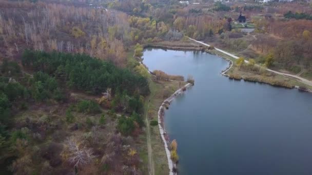 Flight Lake Forest Autumn — Stock Video