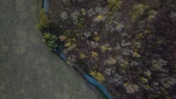 Voo Sobre Montanhas Outono Pequeno Rio Com Florestas Luz Suave — Vídeo de Stock