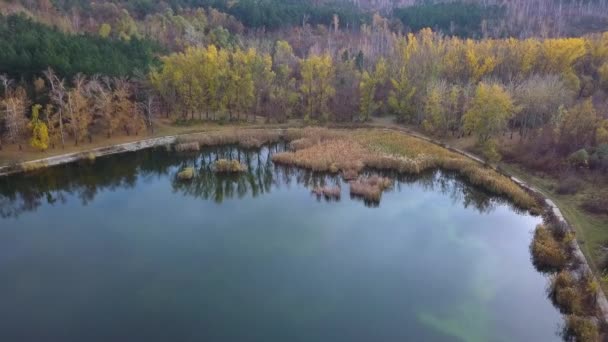 Vuelo Sobre Lago Bosque Otoño — Vídeos de Stock