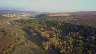 Havadan görünümü ile yolun düşmek orman