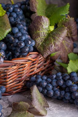Sepet içinde kırmızı üzüm ile natürmort. Rustik tarzı.