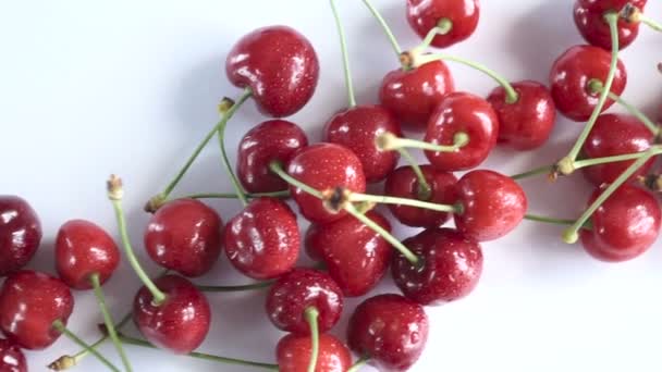 一组成熟的多汁红樱桃白色背景 多莉射击 — 图库视频影像
