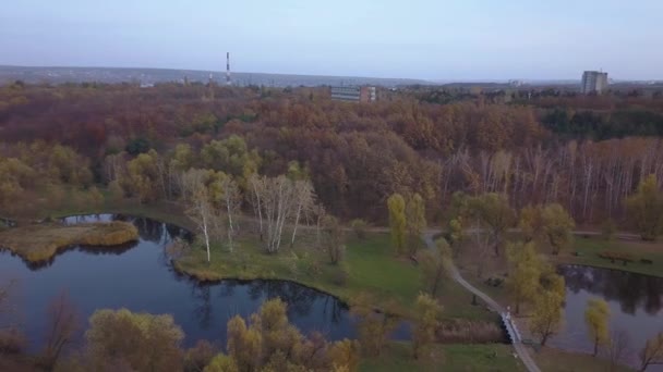 Політ Над Озером Лісом Восени — стокове відео