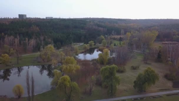 Vuelo Sobre Lago Bosque Otoño — Vídeos de Stock