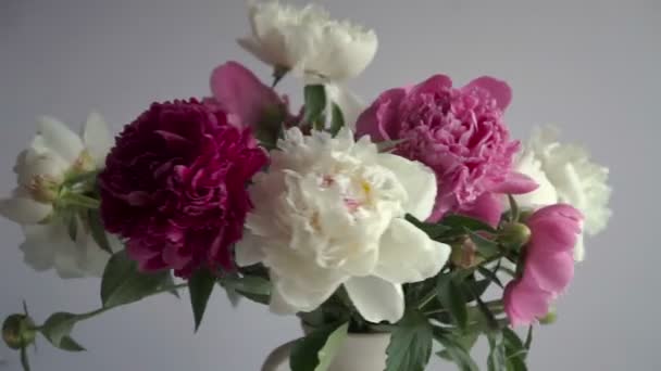 Bouquet of colored peony in vase. Fresh garden peonies. — Stock Footage Bouquet Colored Peony Vase Fresh Garden Peonies Royalty Free Stock Video