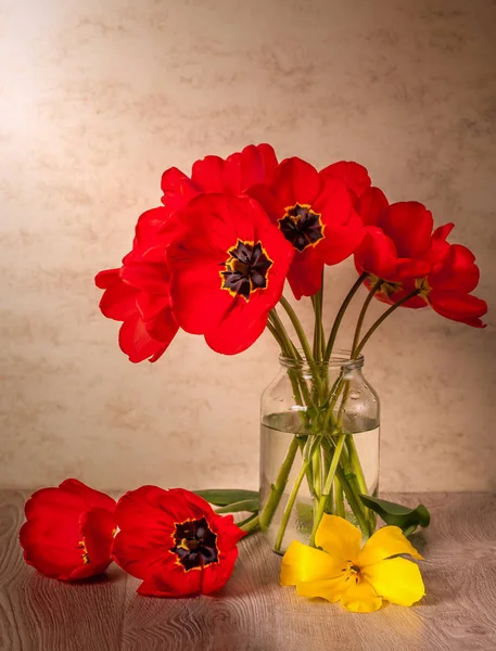 Ainda vida com tulipas — Fotografia de Stock