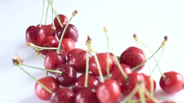 Grupo Cereza Roja Jugosa Madura Fondo Blanco Dolly Disparó — Vídeo de stock