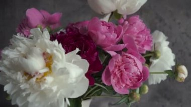 Bir vazoda renkli Şakayık buket. Taze Bahçe peonies.