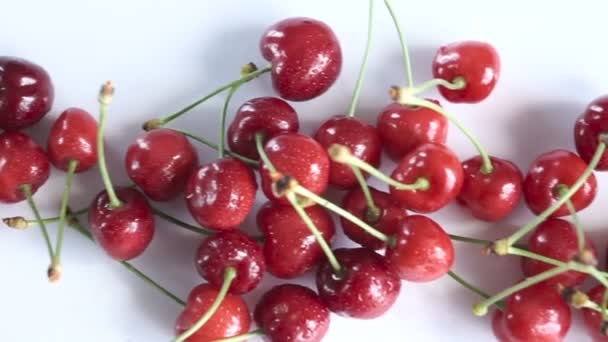 Group Ripe Juicy Red Cherry White Background Dolly Shot — Stock Video