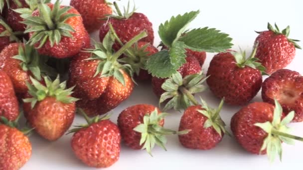 集团的新鲜草莓. — 图库视频影像