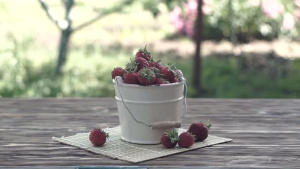 Frische Erdbeeren in einer Schüssel — Stockvideo