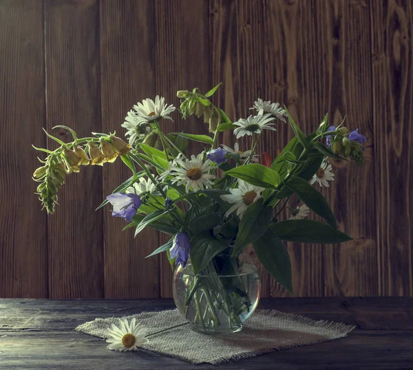 Bukiet kwiatów piękny ogród stokrotka — Zdjęcie stockowe