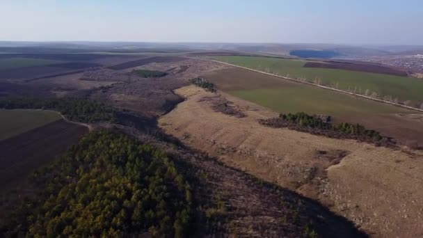 Bird Eye View Fields Agricultural Parcel Aerial Views — Stock Video