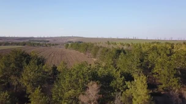 Вид Поля Сельскохозяйственный Участок Высоты Птичьего Полета Вид Воздуха — стоковое видео