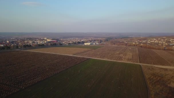 Vuelo Sobre Viñedo Suburbio Primavera Tiro Con Dron — Vídeo de stock