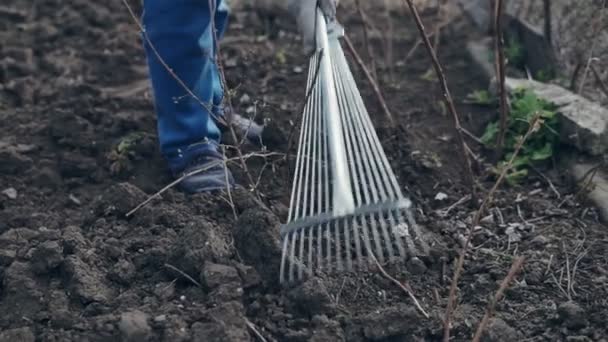 Kvindelige Landmand Bruger Rive Til Nivellere Den Brune Jord Haven – Stock-video