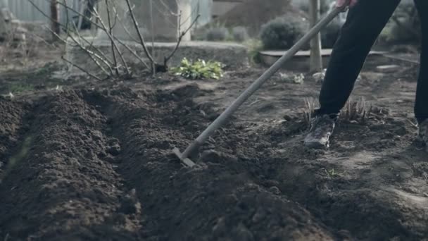 Landwirt Mit Harke Ebnet Braune Erde Garten — Stockvideo