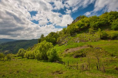 Bahar Carpatian Dağları.