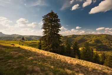 Bahar Carpatian Dağları.