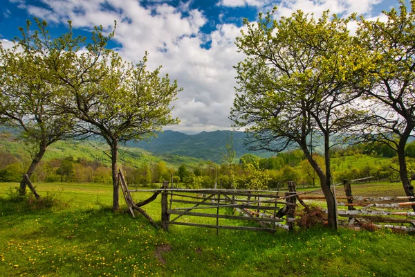 Montanhas carpáticas na primavera . — Fotografia de Stock