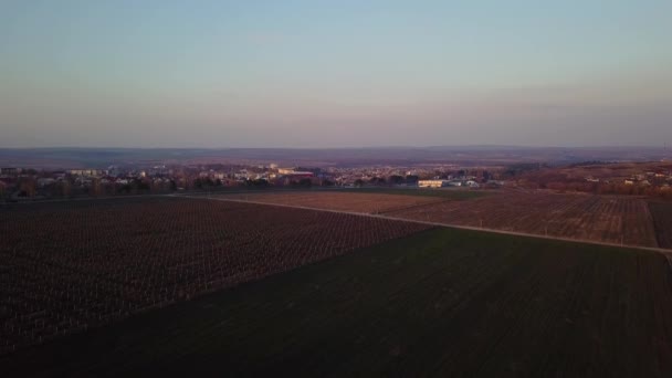 飞行在葡萄园和郊区在春天 无人机射击 — 图库视频影像