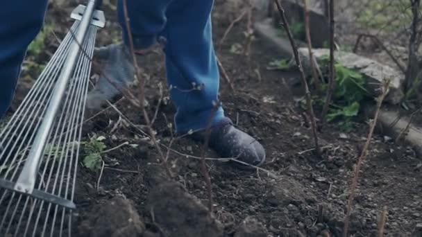 Женщина Фермер Помощью Грабли Выровнять Коричневую Почву Саду — стоковое видео