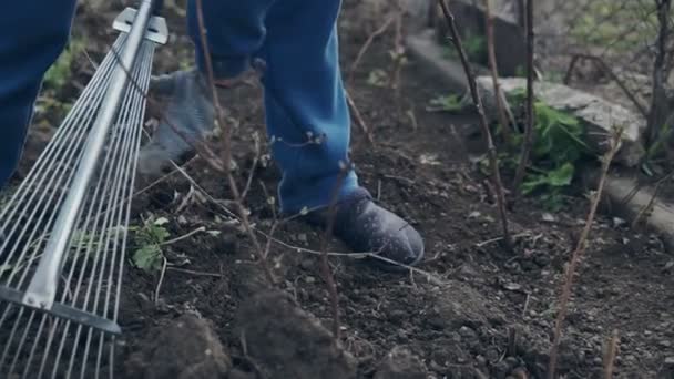 Agricultora Usando Rastrillo Para Nivelar Suelo Marrón Jardín — Vídeo de stock