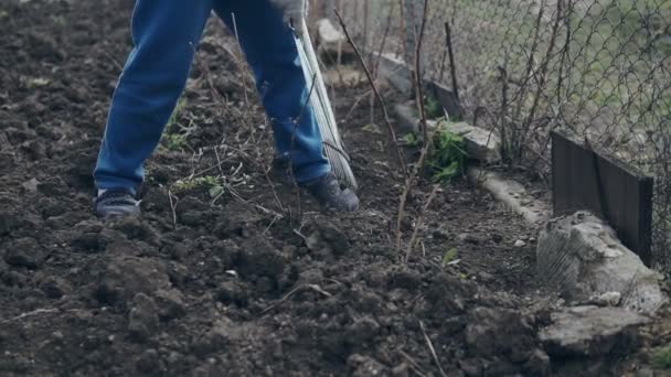 Agricultora Usando Rastrillo Para Nivelar Suelo Marrón Jardín — Vídeo de stock
